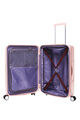 VELTON 벨튼 캐리어 69/25 EXP TSA V1  hi-res | American Tourister