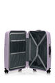LINEX 리넥스 SPINNER 66/24 TSA R V2  hi-res | American Tourister