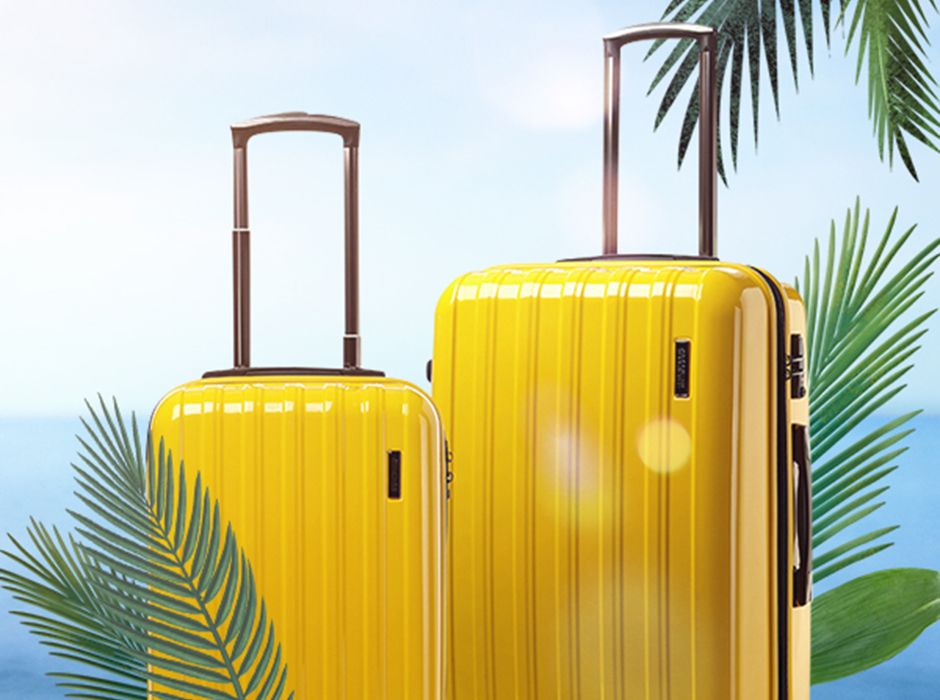 FLINT 플린트 캐리어 2종 세트  topdesc | American Tourister