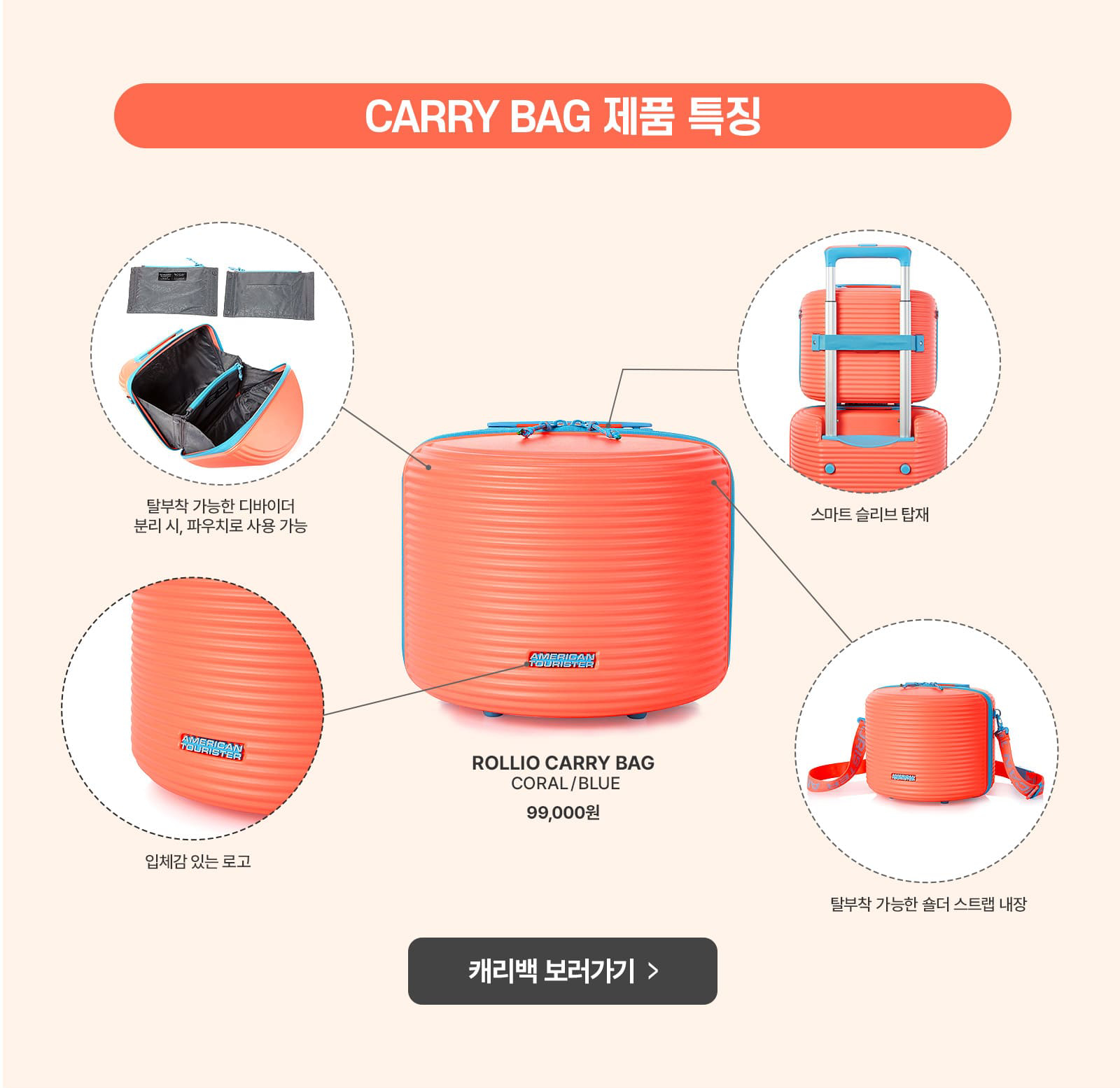 CARRY BAG